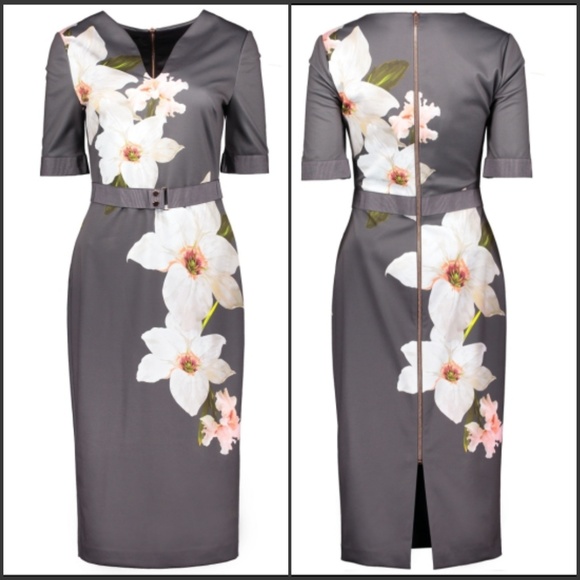 🍒NWOT🍒 TED BAKER BISSLEE CHATSWORTH BODYCON - Picture 4 of 8